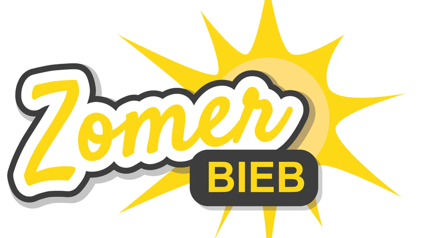 Zomerbieb: vakantie in de Bibliotheek